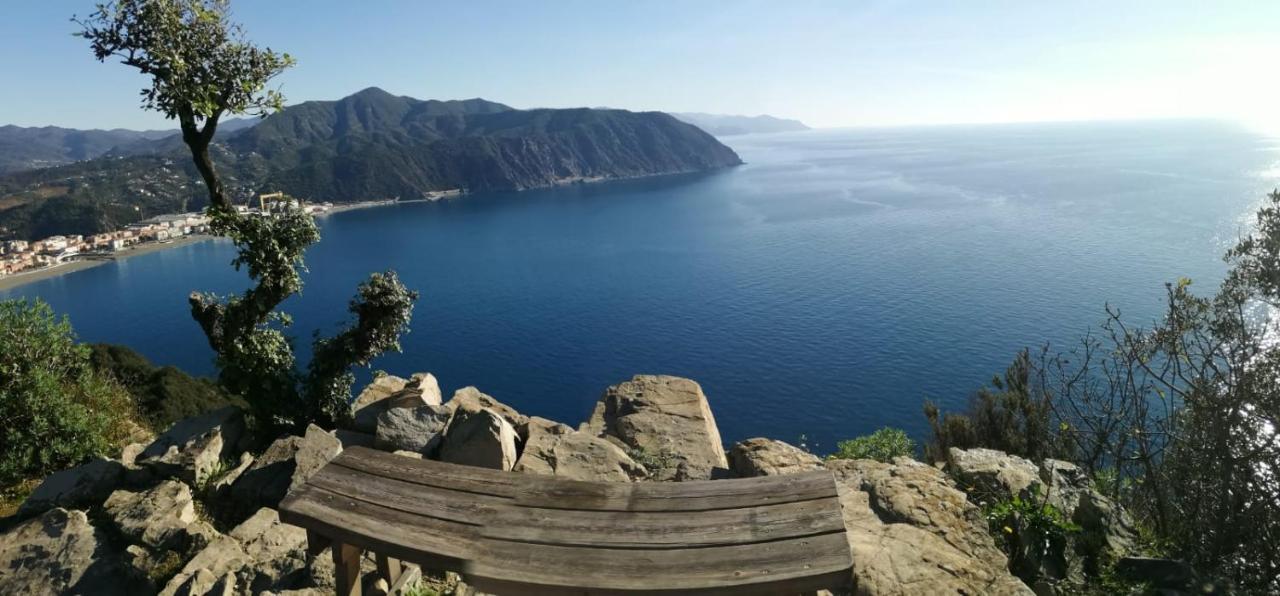Hotel Sereno Sestri Levante Bagian luar foto